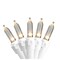 Northlight 32605208 4 in. Spacing Warm White LED Mini Christmas Lights, White Wire - Set of 100